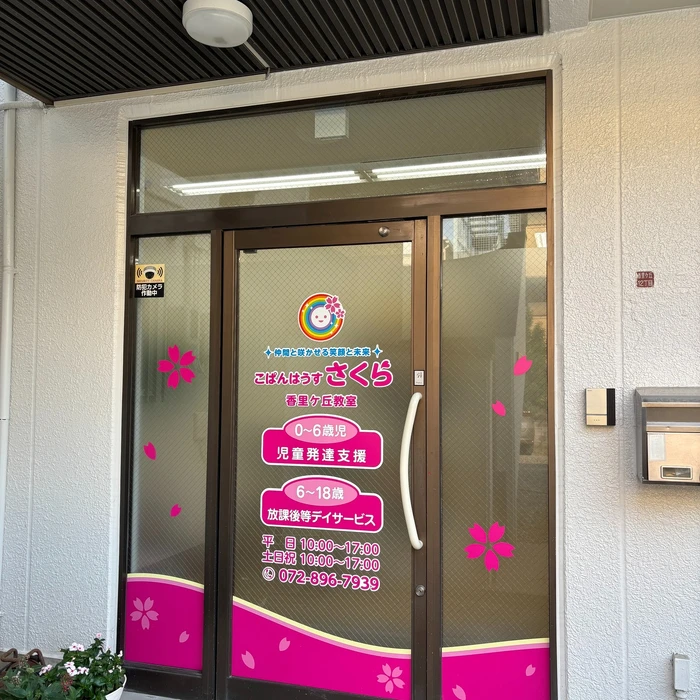 画像253